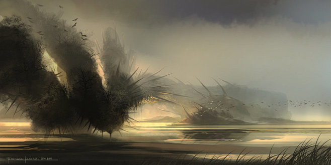 Mysterious Wetlands ...