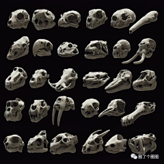 胖纸丶不会飞采集到次时代 ZB 生物 雕刻