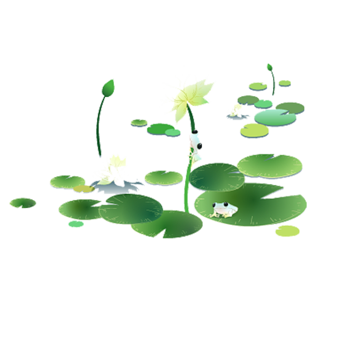 荷叶