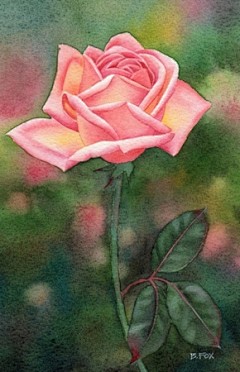 加菲和欧弟采集到玫瑰奉献给爱情