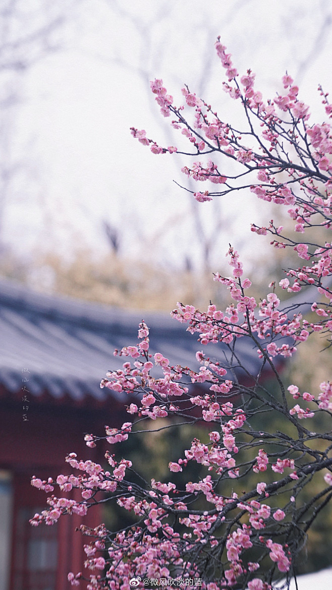 小场景 - 首页 - 微博