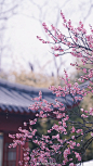 小场景 - 首页 - 微博