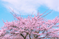 01efdb58d9ba4fa801219c77ece179.jpg@3000w_1l_2o_100sh