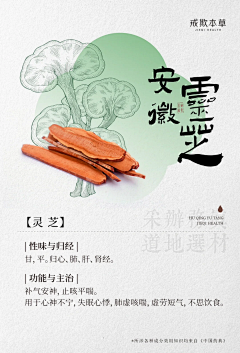 张张啊12138采集到中药药材