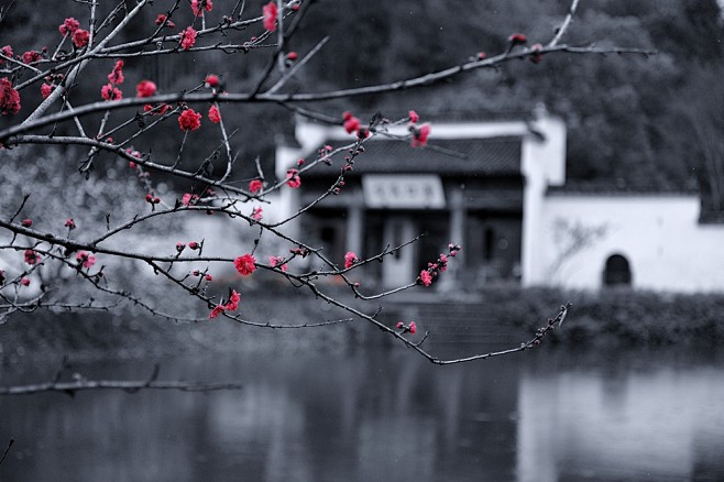 烟花三月进徽村，唯见碧水映红花……