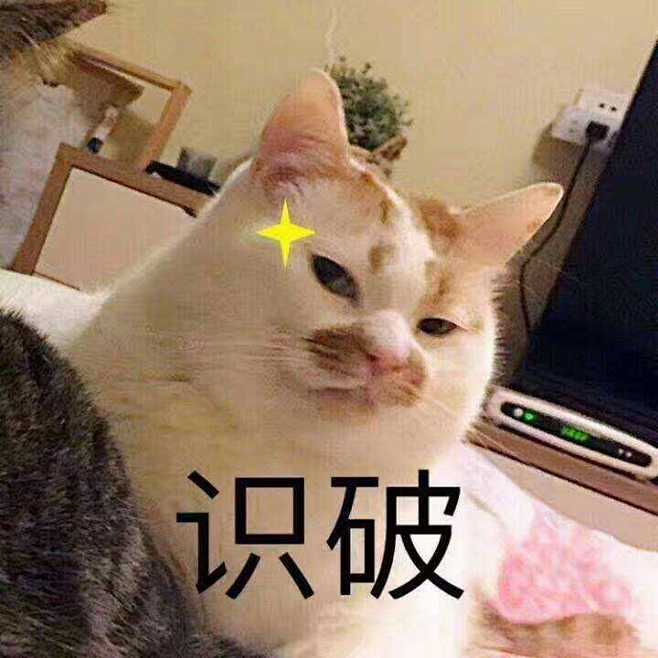 来自分享  猫咪聊天表情包   搞笑文字...