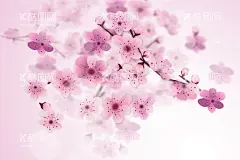 矢量花卉背景   - 源文件下载【酷图网】矢量花卉背景,鲜花背景,唯美鲜花背景,植物,花背景,花壁纸,花朵背景,花卉壁纸,美丽,