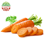 【汶上馆】新鲜胡萝卜蔬菜1.25kg 山东特产 带泥胡萝卜 1.25kg【图片 价格 品牌 报价】-京东