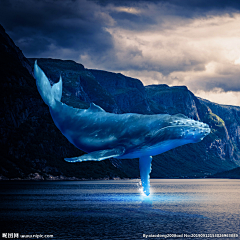 贪吃de猫儿!采集到水生生物——画集