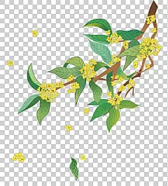 几枝桂花插画元素图片下载