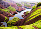 丹霞地貌与植被形态
苔花依丹崖Moss on red cliff by Louis  on 500px