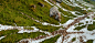 [Unity] - Custom Dynamic Terrain Shader