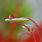 Dew Photography by Diens Silver | Cuded