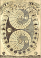 Athanasius Kircher, Ars Magna Lucis et Umbrae (Rome: Scheus, 1646): 'The Selenic Shadowdial or the Process of the Lunation'.: 