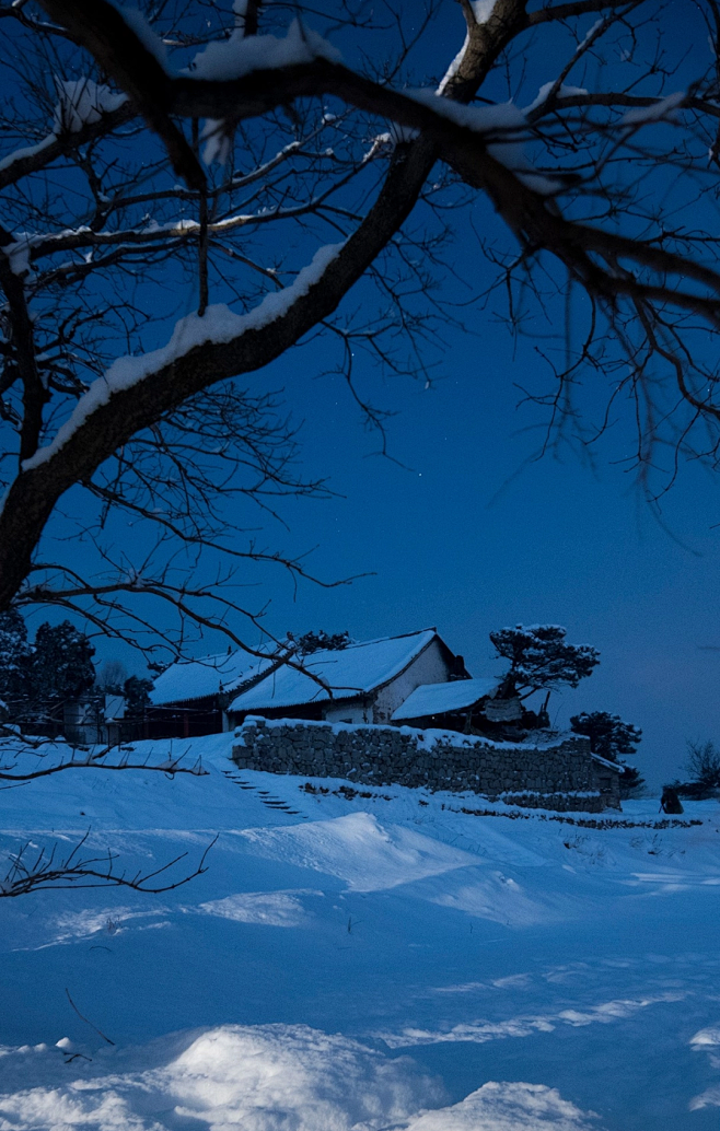 雪夜