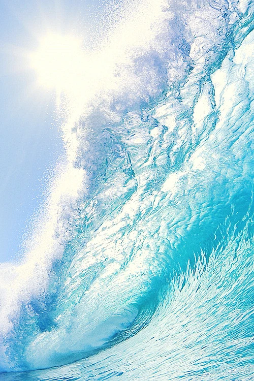 浪-花瓣网