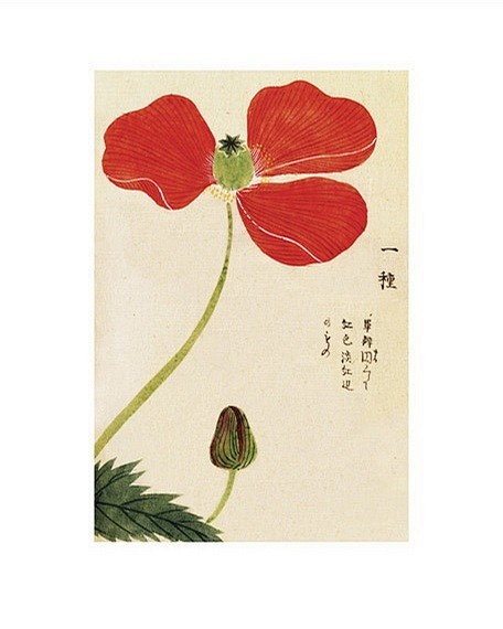江戸時代的植物学者——岩崎灌園(Iwas...