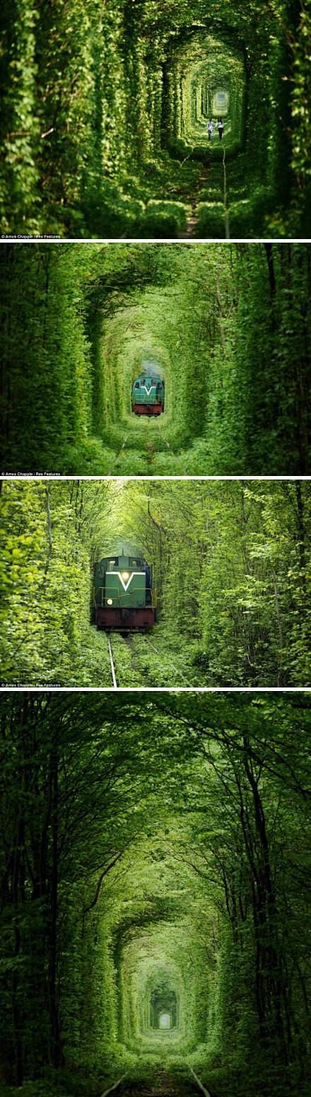 乌克兰的“爱之隧道” Tunnel of...