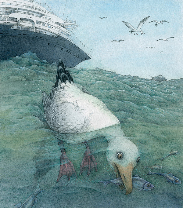 The story of a seagu...