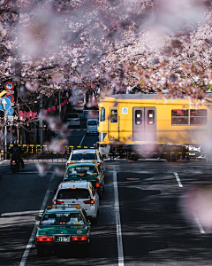 娅露采集到日本