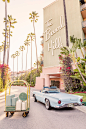 Gray Malin at The Beverly Hills Hotel | Gray Malin Bedroom Wall Collage, Photo Wall Collage, Picture Wall, Aesthetic Backgrounds, Aesthetic Iphone Wallpaper, Aesthetic Wallpapers, Beach Aesthetic, Retro Aesthetic, Travel Aesthetic