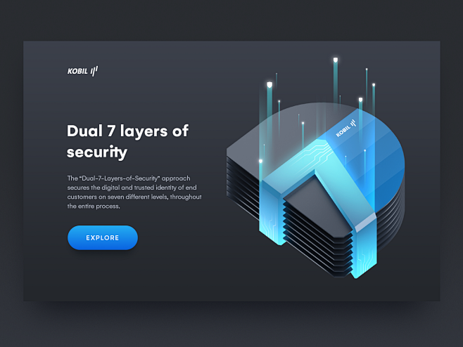 Digital data securit...
