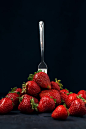 用叉子叉着成熟的红草莓，在深蓝色的背景上。照片摄影图片
