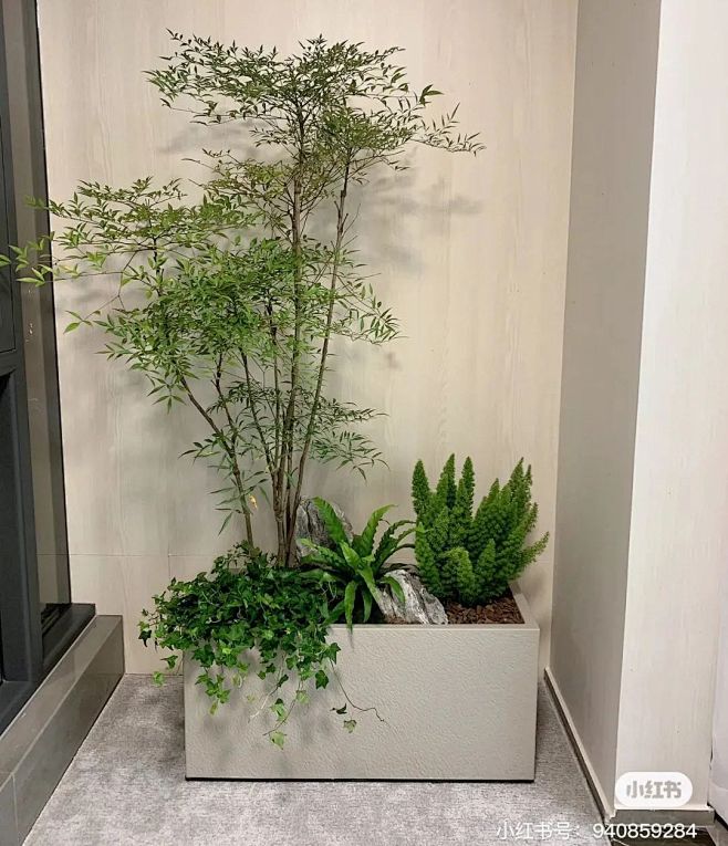 3.乔灌木类花箱
①上层以小乔木或者灌木...