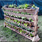 Vertical veg garden seen at Malvern Show. Such a clever idea!