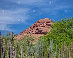 亚利桑那州塞多纳的仙人掌和岩层
