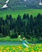 草原的绿色是夏日的凉风，在唐布...@永永游疆湖的动态