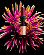 BOBBI BROWN LIPSTICK CHRYSANTHEMUM.jpg