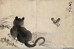  清 八大山人朱耷画选（二） 