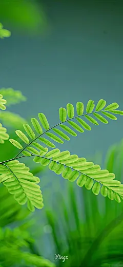 好看的壁纸搬运