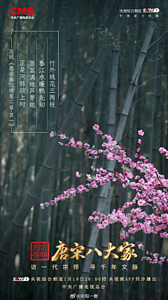 以风代颂采集到纪录片海报