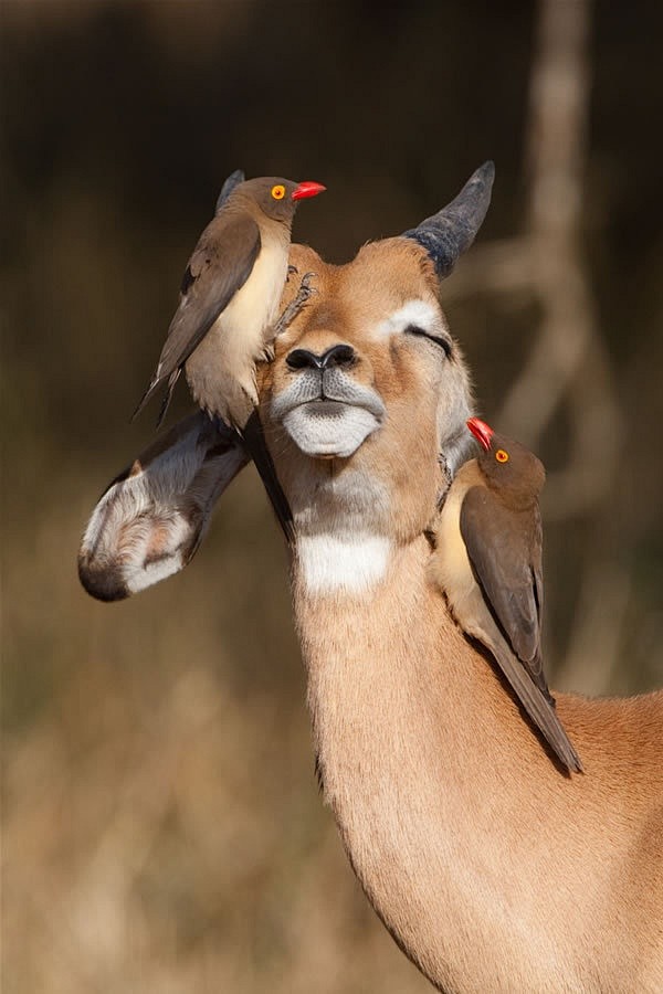 Kruger National Park...