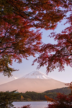 香水百合采集到风景