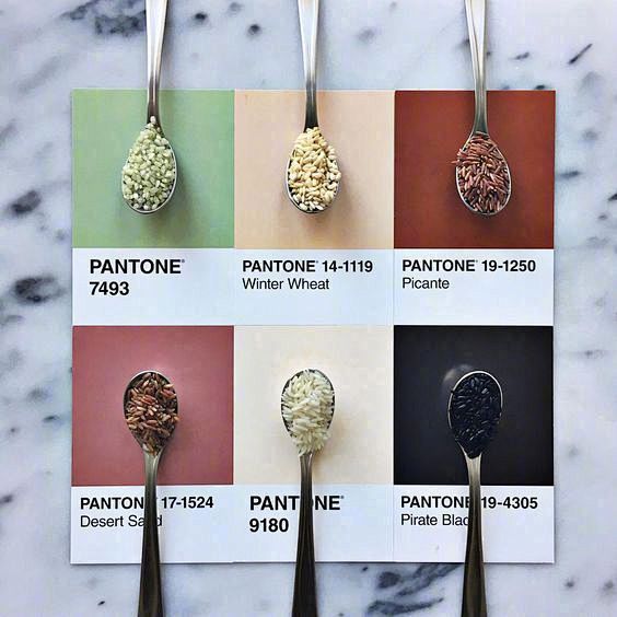 美食版潘通色 色卡（cr.Lucia L...