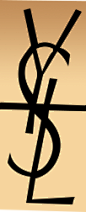 YSL圣罗兰小黑条logo