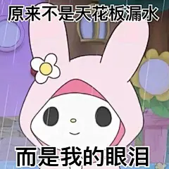库洛米酷洛米表情包 (18)