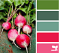 radishing color