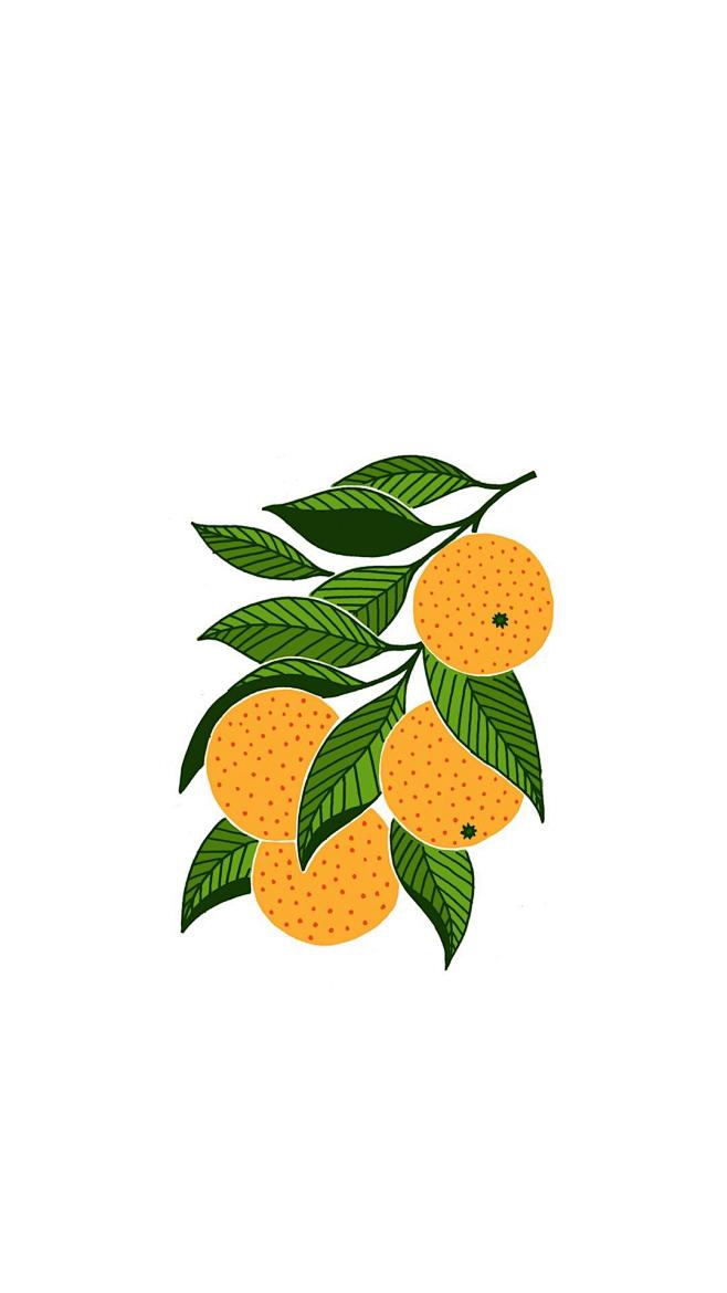 柑橘