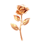 金色玫瑰花
