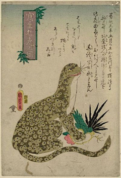 君鱼采集到浮世绘