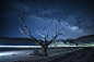 General 2048x1367 night universe trees