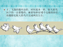 洛书丶采集到动画序列