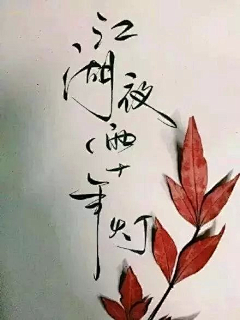 一颗原白菜采集到字体