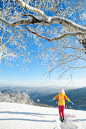 雪乡 凤凰山 旅拍 - 哈尔滨旅拍写真刘大勇摄影工作室 - CNU视觉联盟