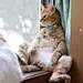 云影§逸尘』