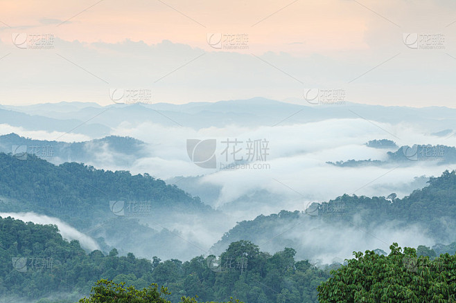 云与山与树
